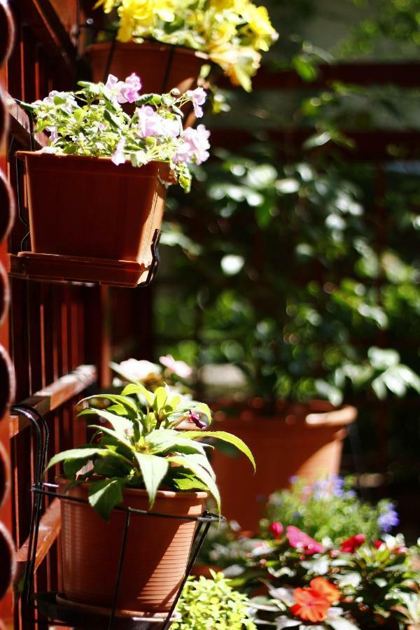 Апартаменты Downtown Garden Isle In Urban Style-Free Parking Будапешт Экстерьер фото